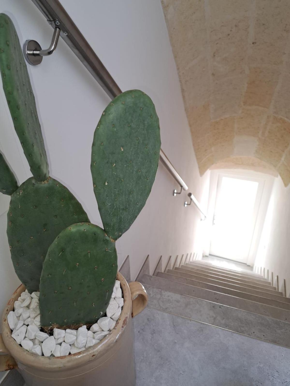Mae Apulian Rooms Гроталие Екстериор снимка